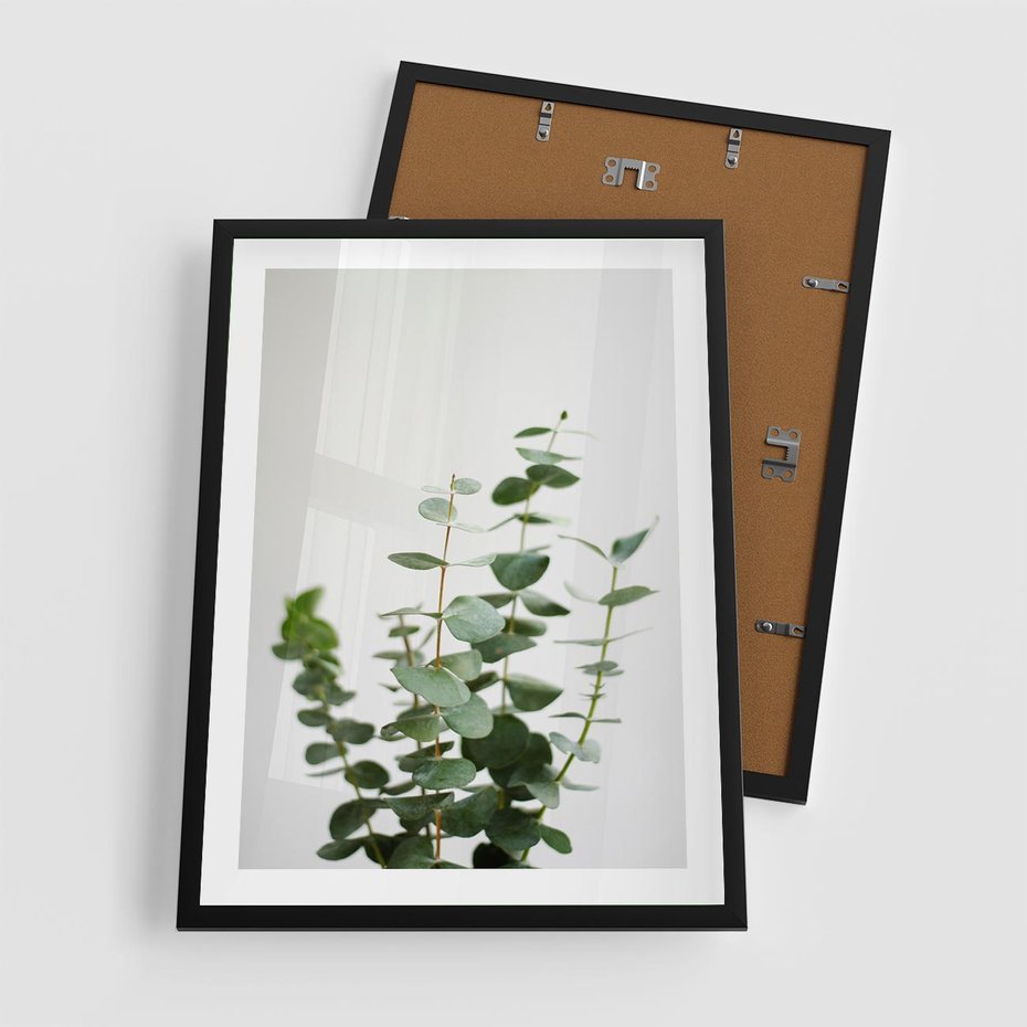 Plakat w ramie 50x70 - Żywa eukaliptusowa zieleń - eukaliptus, zielone - rama czarna