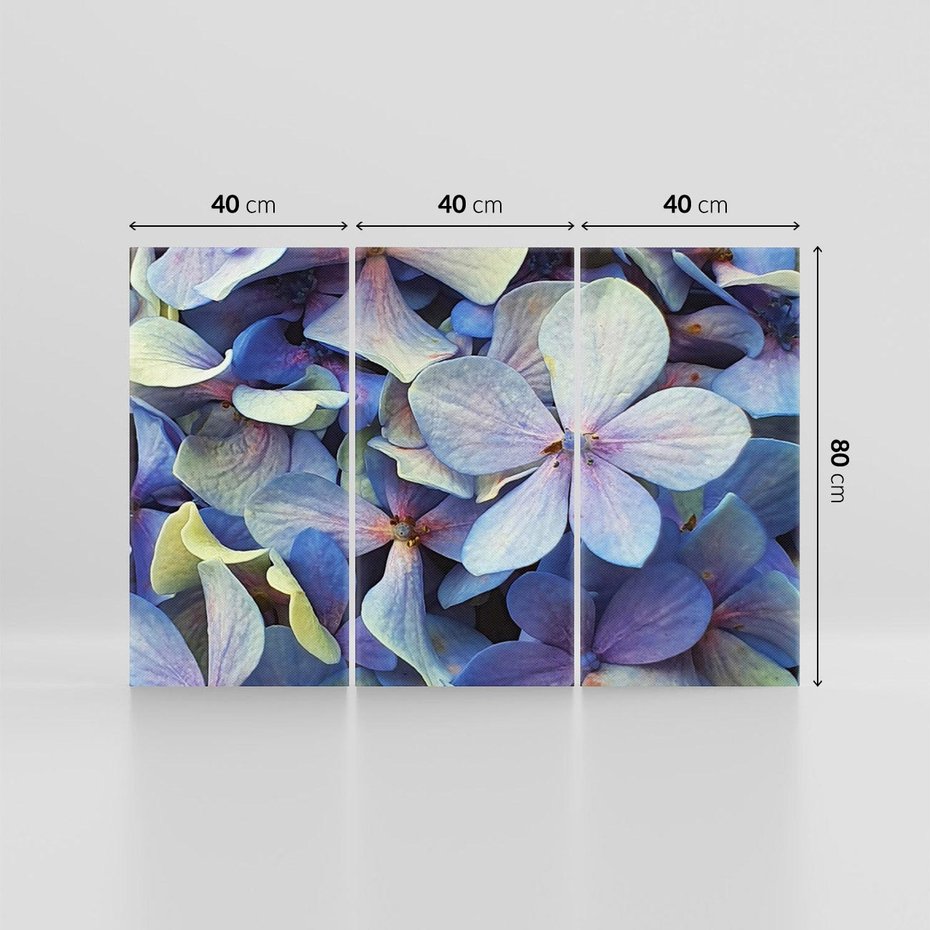 Obraz na płótnie 120x80 - Hortensja - delikatność kwiatów - hortensja, kwiaty