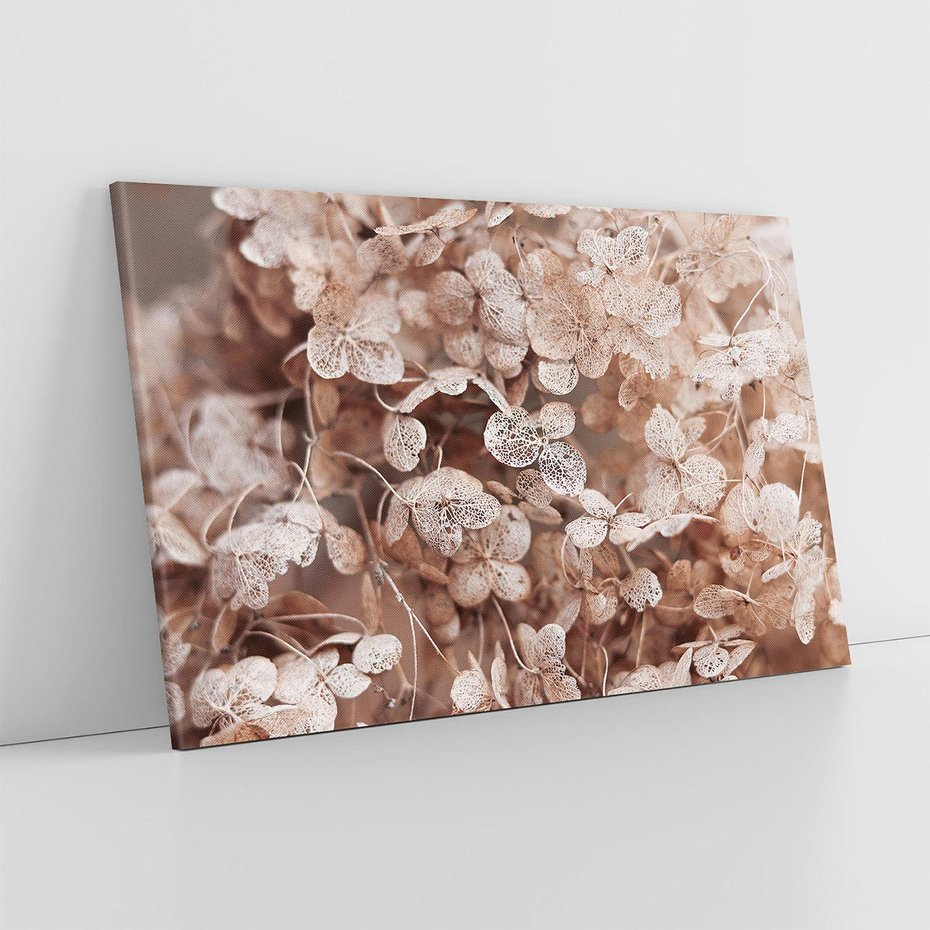 Obraz na płótnie 120x80 - Przemijająca Piękność - fotografia, zbliżenie