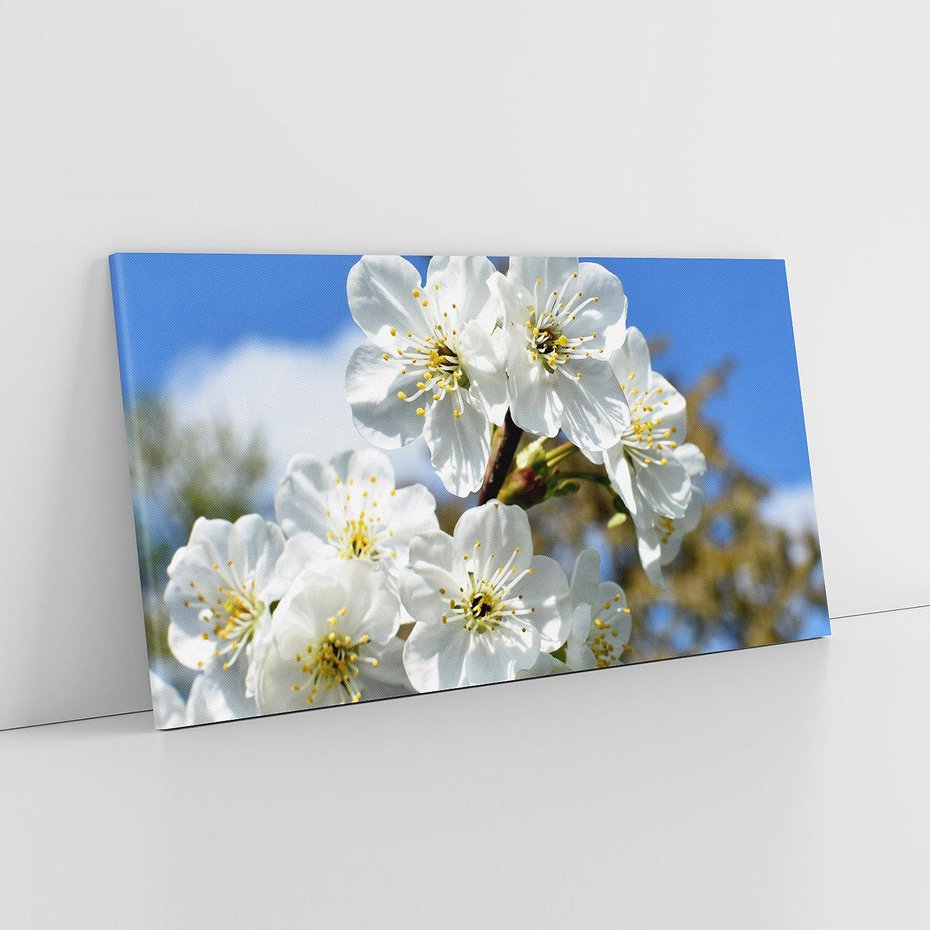 Obraz na płótnie 120x60 - Kwiatowa harmonia natury - kwiat, kwiaty