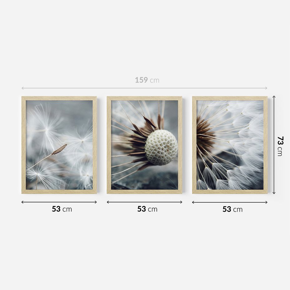 Zestaw obrazy w ramie 50x70 galeria - Dmuchawce, makro, natura, kwiaty - rama drewno