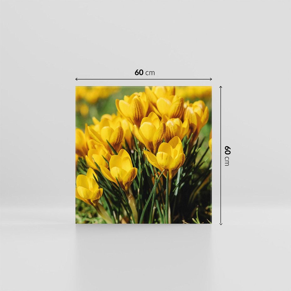 Obraz na płótnie 60x60 - Kwiatowe uniesienia natury - kwiat, kwiaty