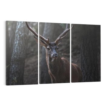 Obraz na płótnie 120x80 - Jeleń wśród lasu - jeleń, las