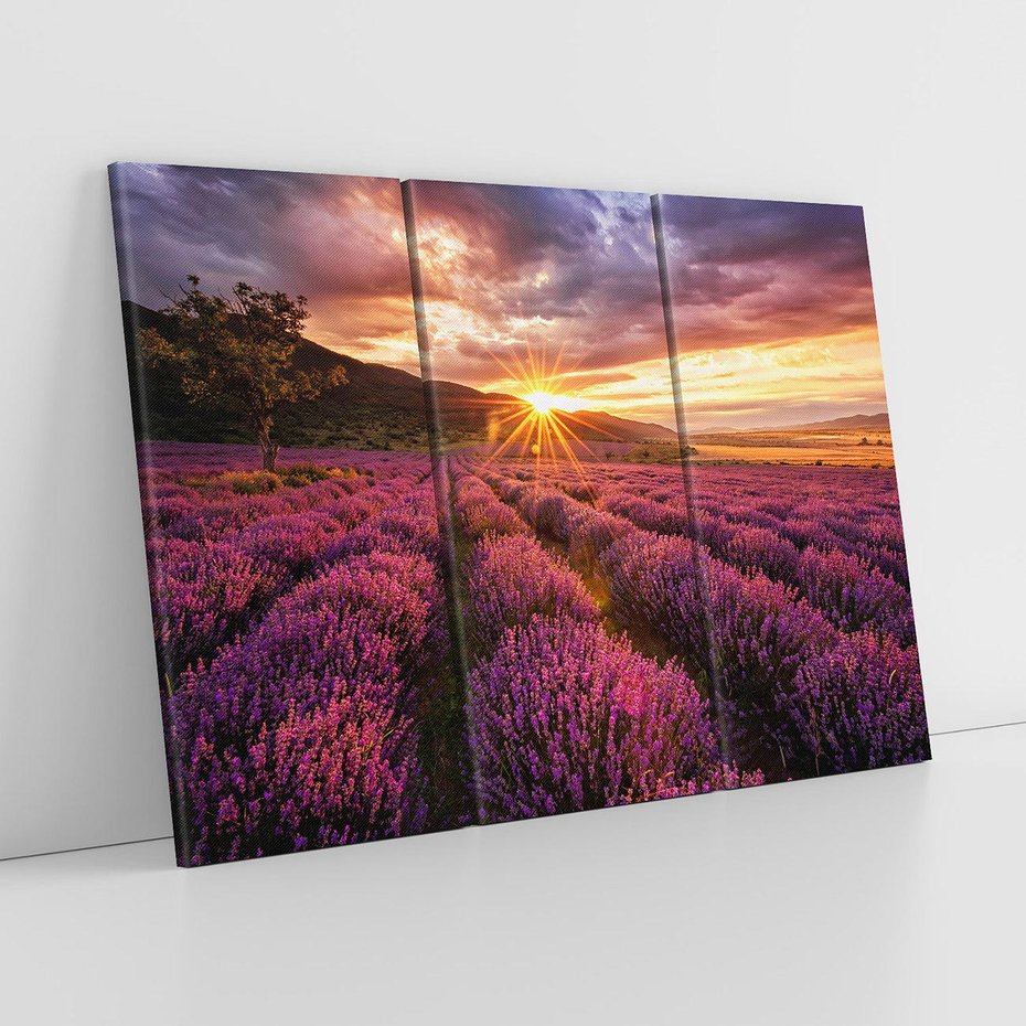 Obraz na płótnie 120x80 - Lawenda: Pachnące pole kwiatów - kwiaty, lawenda