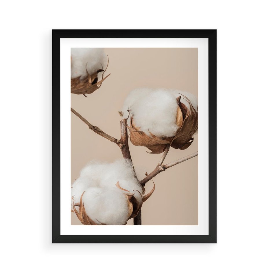 Plakat w ramie 50x70 - Bawełniana melancholia - bawełna, suche - rama czarna