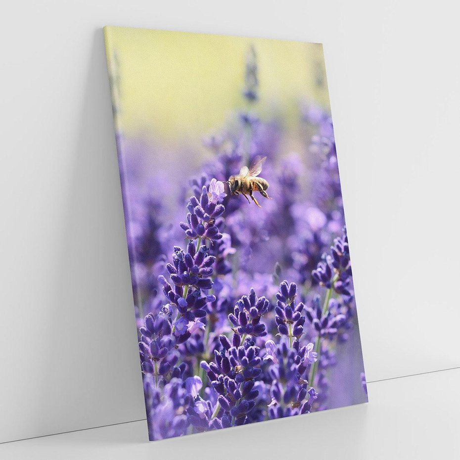 Obraz na płótnie 50x70 - Magia lawendy delikatne kwiaty - lawenda, kwiat