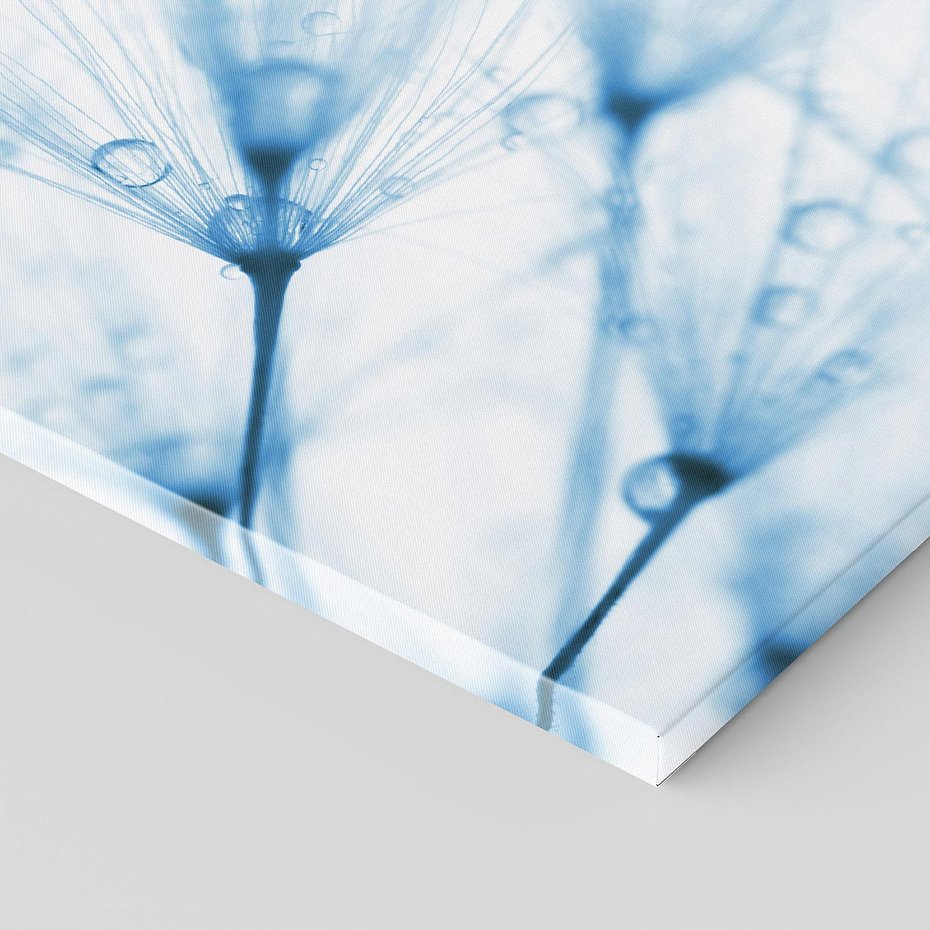 Obraz na płótnie 50x50 - Kwiat w kroplach wody - kwiat, krople