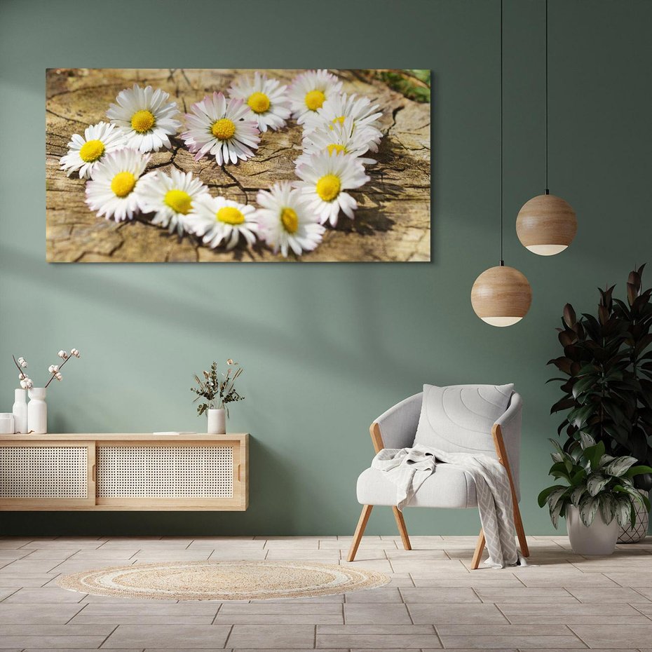 Obraz na płótnie 120x60 - Stokrotki w naturalnym otoczeniu - stokrotki, natura