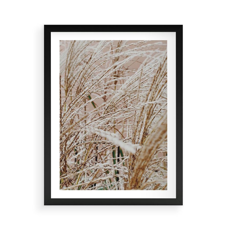 Plakat w ramie 50x70 - Beżowa Trawa - suche trawy, zbliżenie - rama czarna