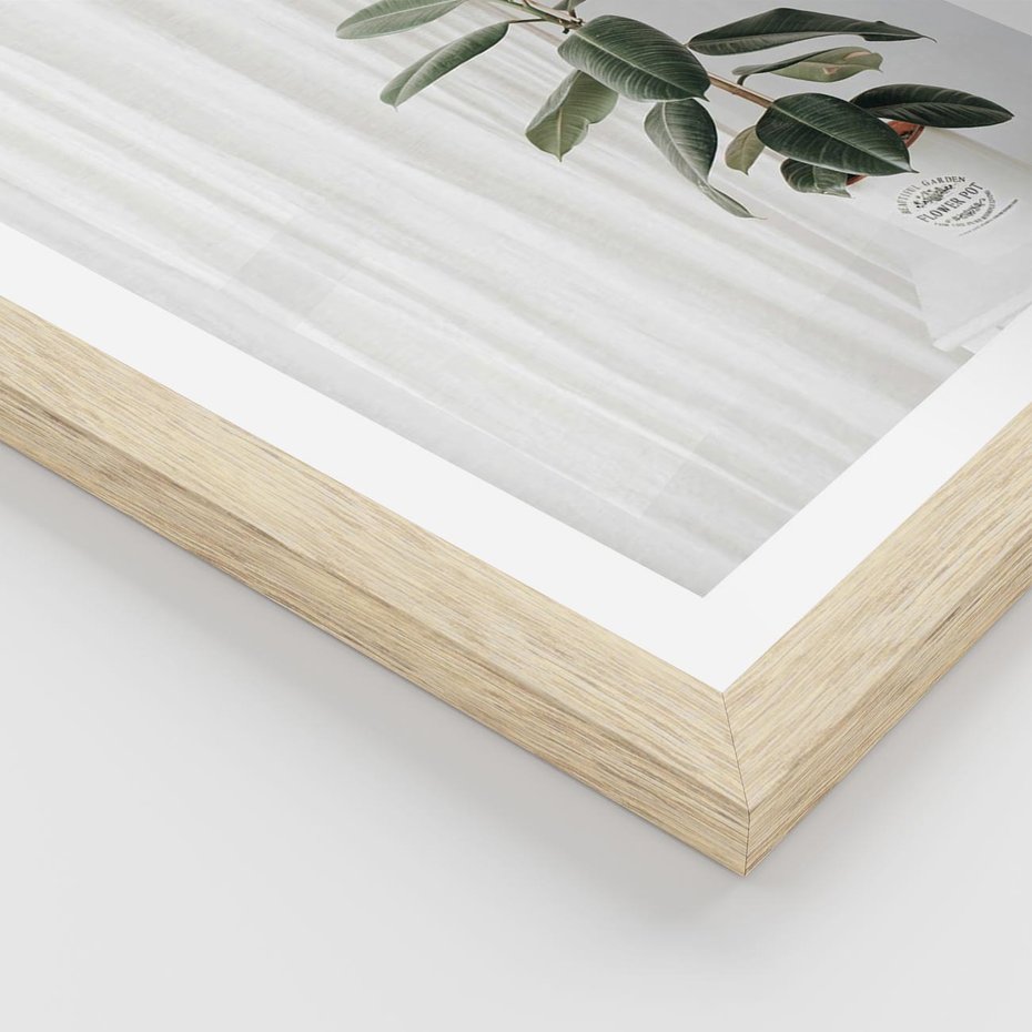 Plakat w ramie 30x40 - Kwiat w Bieli - kwiat w doniczce, białe wnętrze - rama drewno