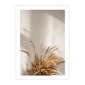 Plakat bez ramy 40x50 - Natura i Elegancja: Obraz Boho - trawy, boho
