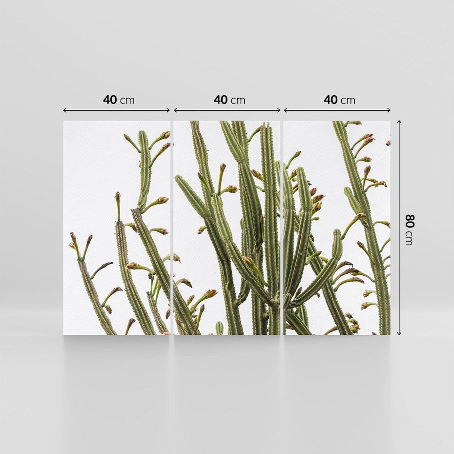 Obraz na płótnie 120x80 - Ekskluzywna Roślinność - kaktusy, liście