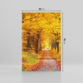 Obraz na płótnie 50x70 - Jesień w lesie - las, drzewa