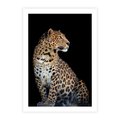 Plakat bez ramy 30x40 - Elegancja Jaguarowej Pantery - jaguar, pantera