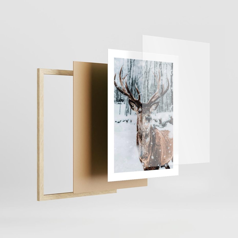 Plakat w ramie 30x40 - Jeleń na Zdjęciu pod Śniegiem - jeleń, zima - rama drewno