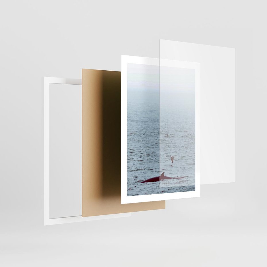 Plakat w ramie 50x70 - Spotkanie z Orką - morze, ocean - rama biała