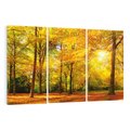 Obraz na płótnie 120x80 - Urok jesiennego lasu - las, drzewa