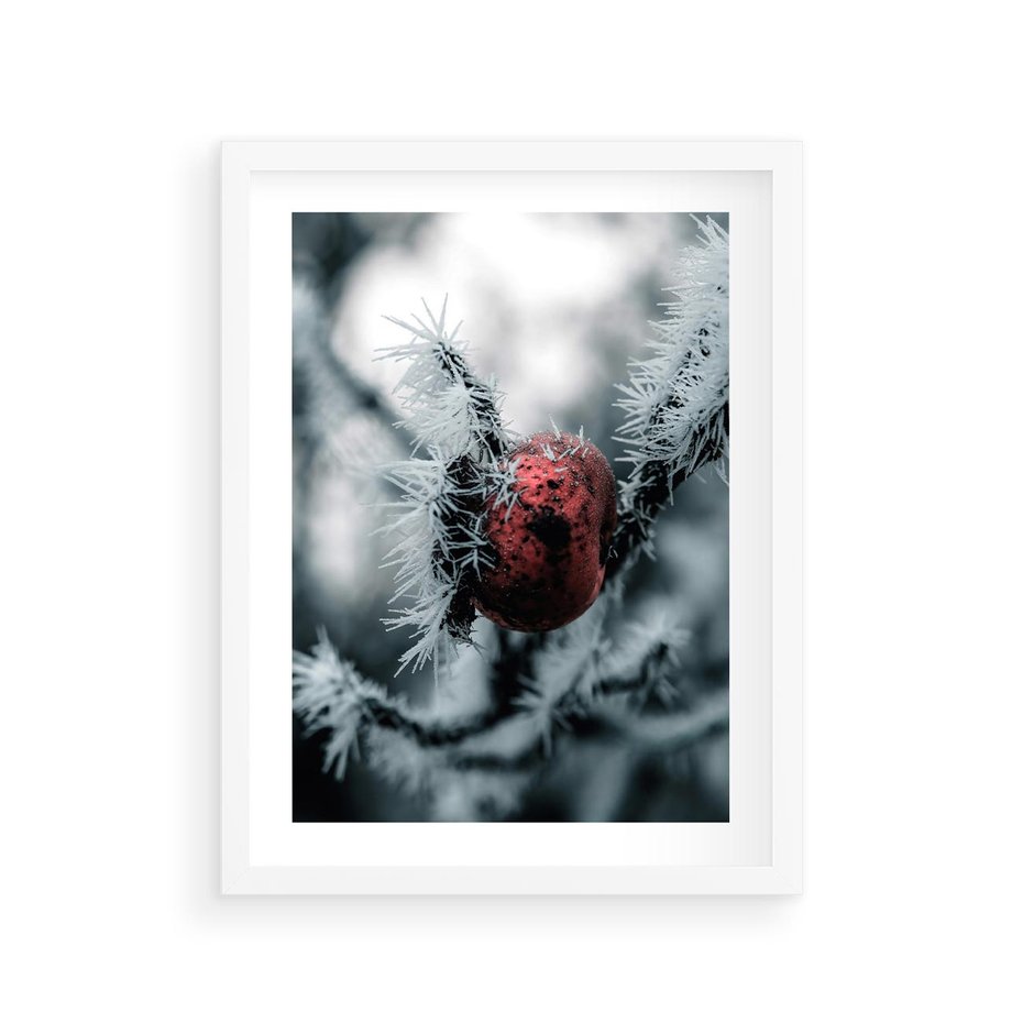 Plakat w ramie 30x40 - Chwila Zimowego Uroku - zima, ośnieżona gałązka - rama biała