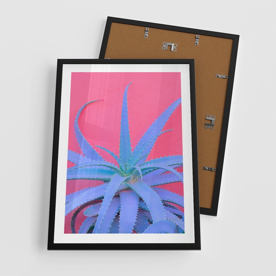 Plakat w ramie 50x70 - Piękno Pustyni - kaktusy, liście - rama czarna