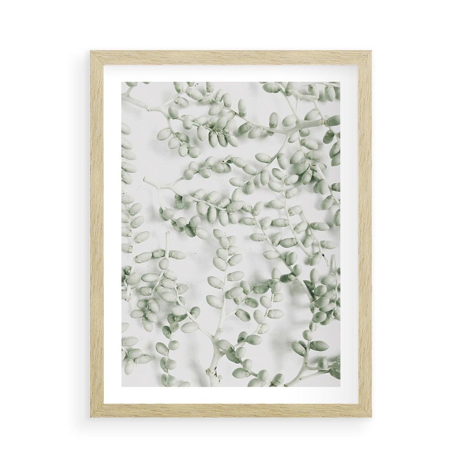 Plakat w ramie 50x70 - Delikatność Zieleni - zielone gałązki, listki - rama drewno