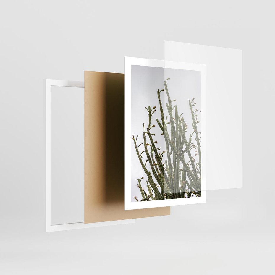Plakat w ramie 50x70 - Ekskluzywna Roślinność - kaktusy, liście - rama biała