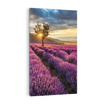 Obraz na płótnie 70x100 - Lawenda: Pachnący ogród natury - lawenda, kwiaty
