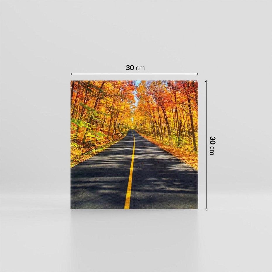 Obraz na płótnie 30x30 - Droga przez jesienny las - droga, las