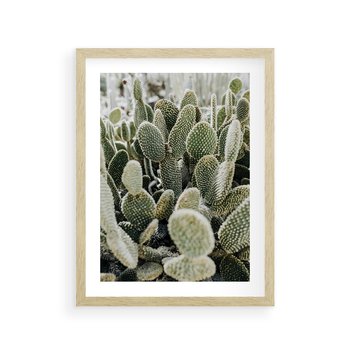Plakat w ramie 30x40 - Kaktusowa Harmonia - kaktusy, fotografia - rama drewno