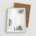 Plakat w ramie 50x70 - Liście Palmy na Czystym Tle - liście palmy, białe tło - rama drewno