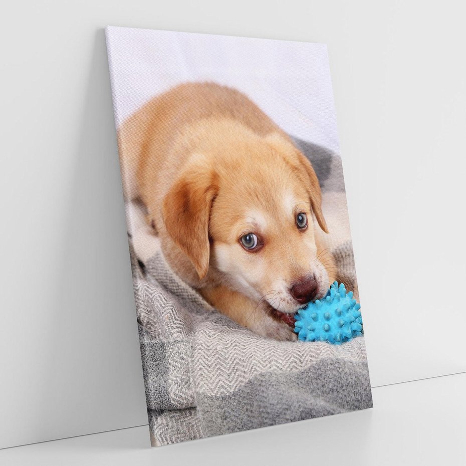 Obraz na płótnie 50x70 - Radość w zabawie: Piesek jako najlepszy przyjaciel - pies, piesek