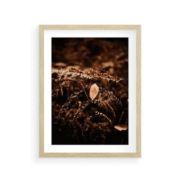 Plakat w ramie 30x40 - Gałęzie i Liść w Brązowej Tonacji - suche gałęzie, liść - rama drewno