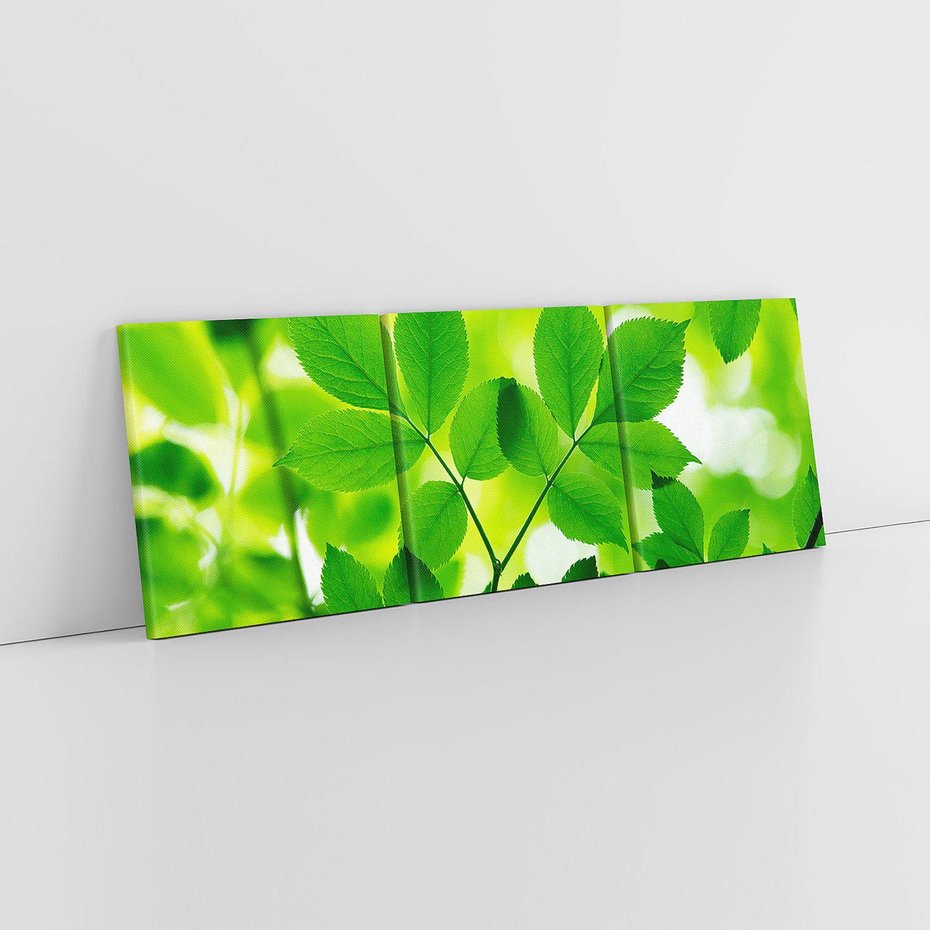 Obraz na płótnie 150x50 - Magia liści - liście, drzewo