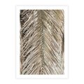 Plakat bez ramy 50x70 - Boho Urok Palmy: Zbliżenie Natury - sucha palma, zbliżenie