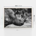 Obraz w ramie 120x80 - Potęga Afryki - czarno biała fotografia, zbliżenie na postać nosorożca - rama drewno