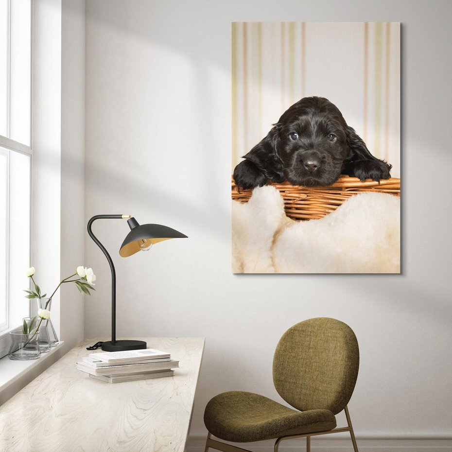 Obraz na płótnie 50x70 - Uroczy szczeniak w akcji - piesek, szczeniak