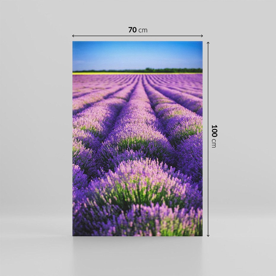 Obraz na płótnie 70x100 - Malownicze Pole Lawendy - lawenda, pole