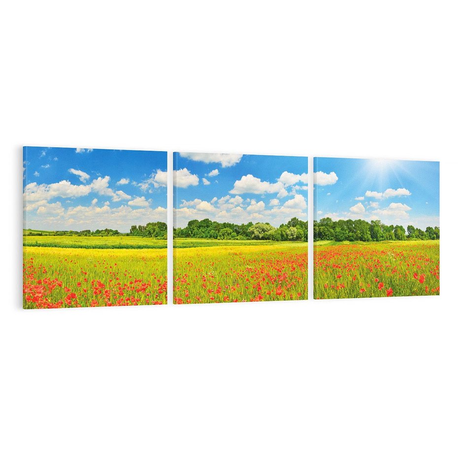 Obraz na płótnie 150x50 - Malownicze maki na łące - maki, łąka