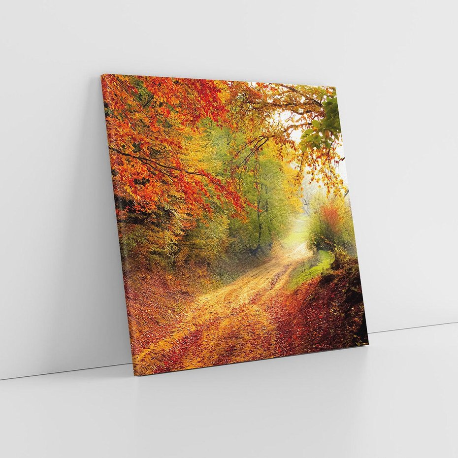 Obraz na płótnie 60x60 - Jesienny urok magia lasu - las, jesień