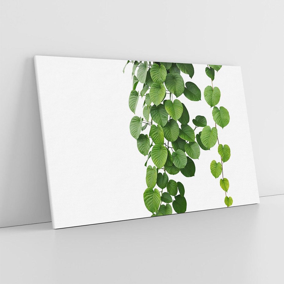 Obraz na płótnie 100x70 - Świeżość Natury - liście, zielone