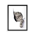 Plakat w ramie 30x40 - Tajemniczy kot i jego świat - kot, dziura - rama czarna