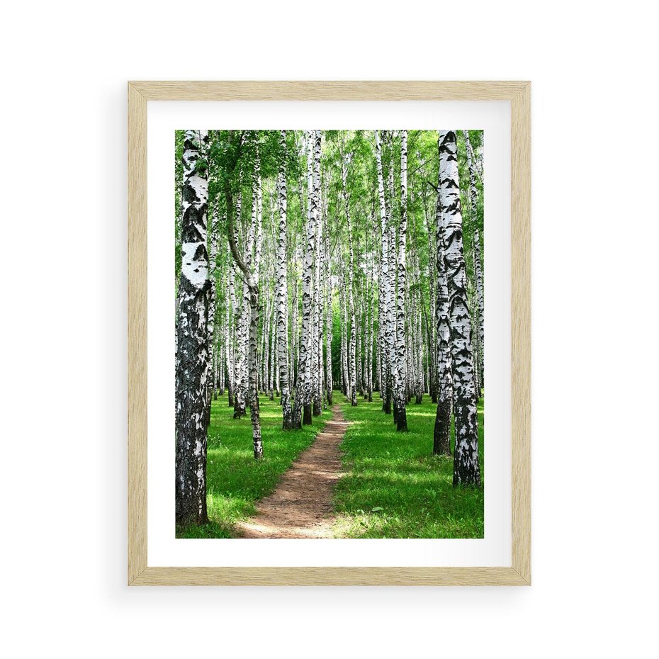 Plakat w ramie 40x50 - Bajkowy las pełen brzóz - las, brzozy - rama drewno