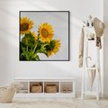 Obraz w ramie 50x50 - Słoneczna Radość - fotografia, żółte słoneczniki - rama czarna