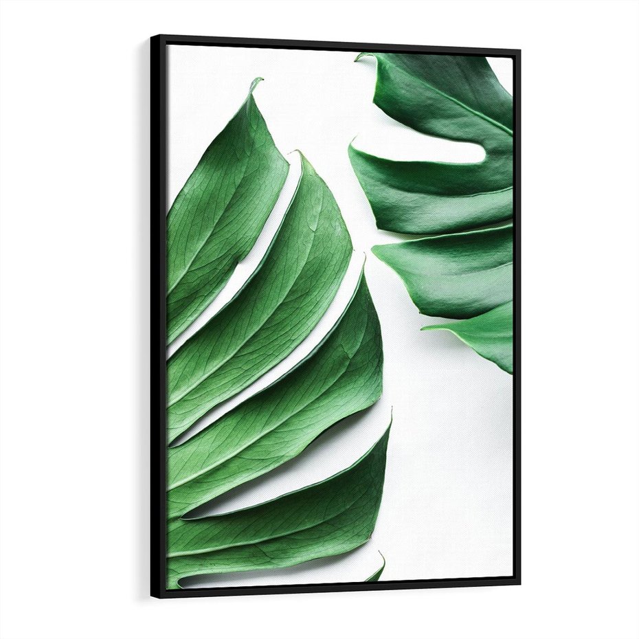 Obraz w ramie 50x70 - Monstera - Liście Kwiaty - monstera, liście - rama czarna