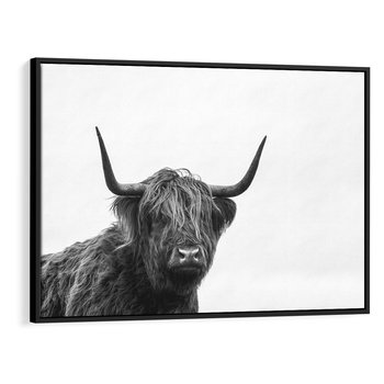 Obraz w ramie 100x70 - Moc i Spokój - amerykańskie bydło, byk - rama czarna