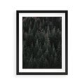 Plakat w ramie 40x50 - Wysoko nad Iglastym Lasem - las, perspektywa - rama czarna