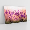 Obraz na płótnie 120x80 - Lawenda: Pachnące pole kwiatów - kwiaty, lawenda