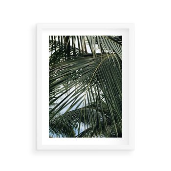 Plakat w ramie 40x50 - Wakacyjna Magia - palmy, tropiki - rama biała