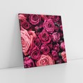 Obraz na płótnie 50x50 - Róże - piękno kwiatów - róże, kwiaty
