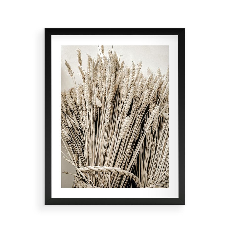 Plakat w ramie 40x50 - Letni Plon - zboże, kłosy zboża - rama czarna