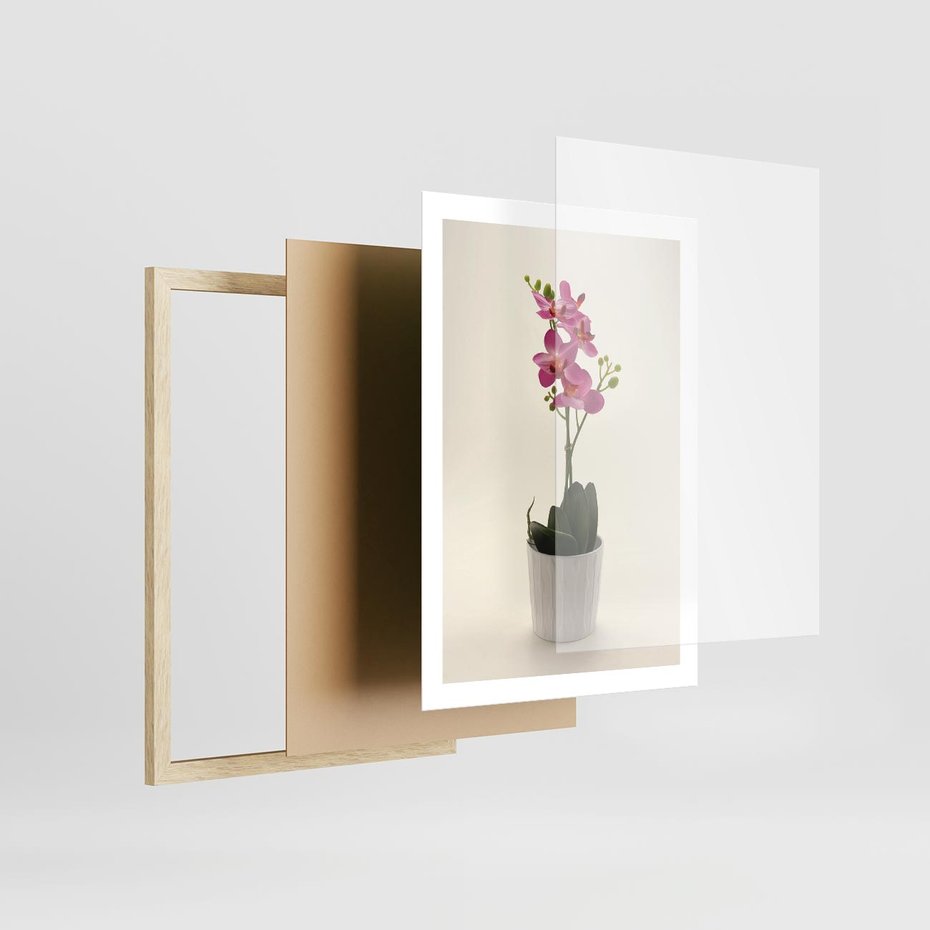 Plakat w ramie 50x70 - Delikatność storczyka orchidei - storczyk, orchidea - rama drewno